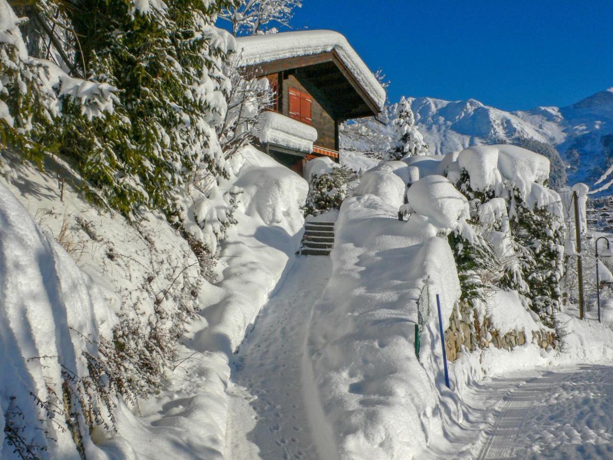 Chalet Chateau Lapin By Interhome 韦尔比耶 外观 照片