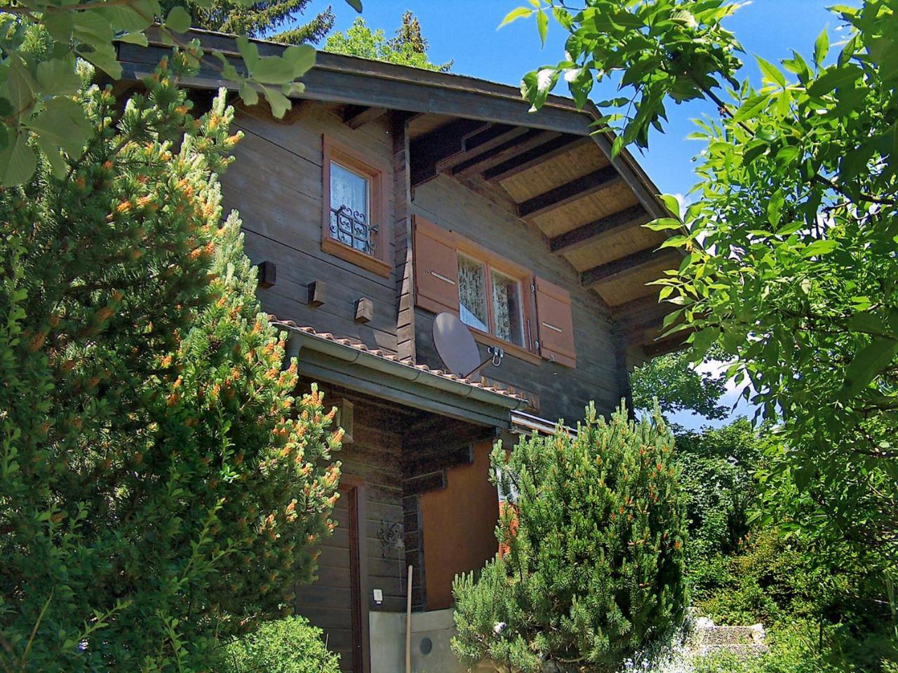 Chalet Chateau Lapin By Interhome 韦尔比耶 外观 照片